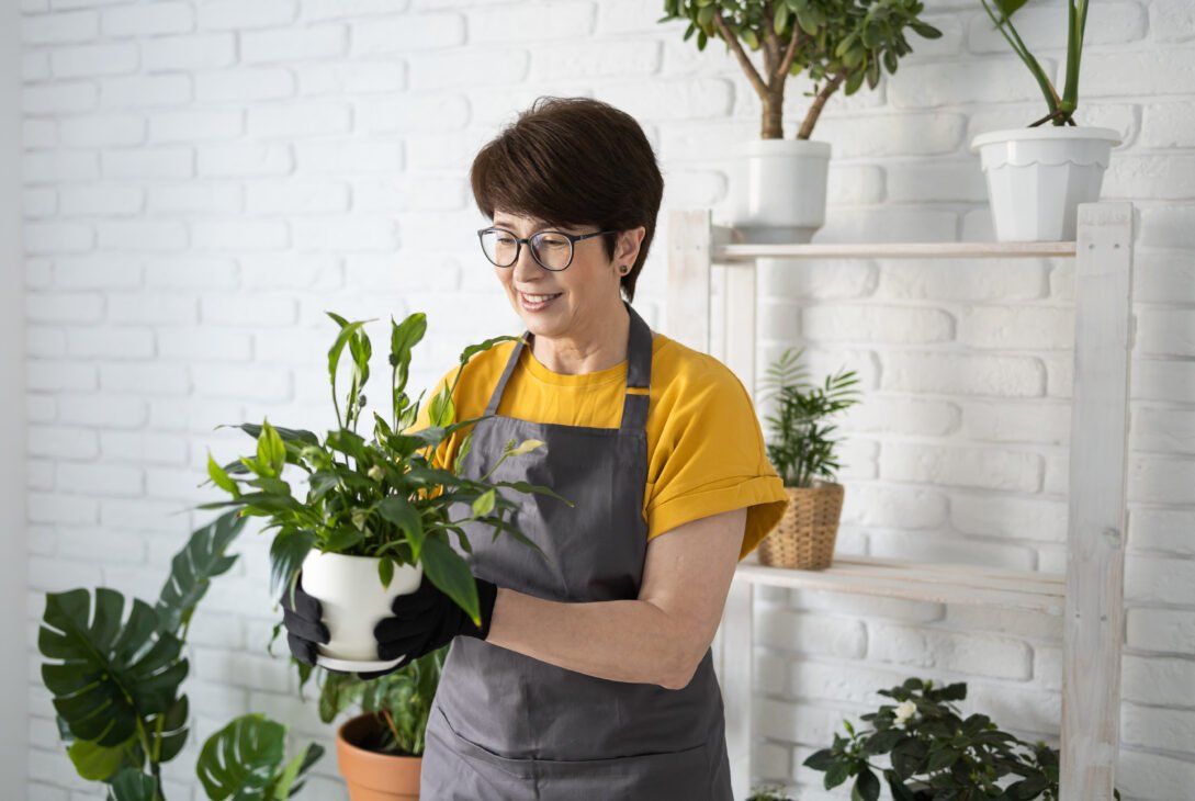 Gardening home. Woman replanting and watering green plant from watering can in home. Potted green