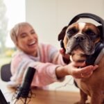 My Frenchie Doesn’t Judge, So I Learned to Stop Judging Myself Woman With Pet French Bulldog Wearing Headphones Recording Podcast Or Broadcasting On Radio At Home