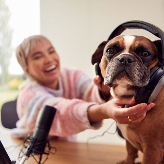 Woman With Pet French Bulldog Wearing Headphones Recording Podcast Or Broadcasting On Radio At Home