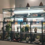 A kitchen filled with lots of potted plants
