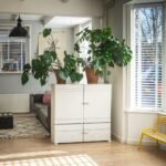 Building a Home "Recovery Station": Tools and Rituals for Active Rest Days green plant on white wooden cabinet